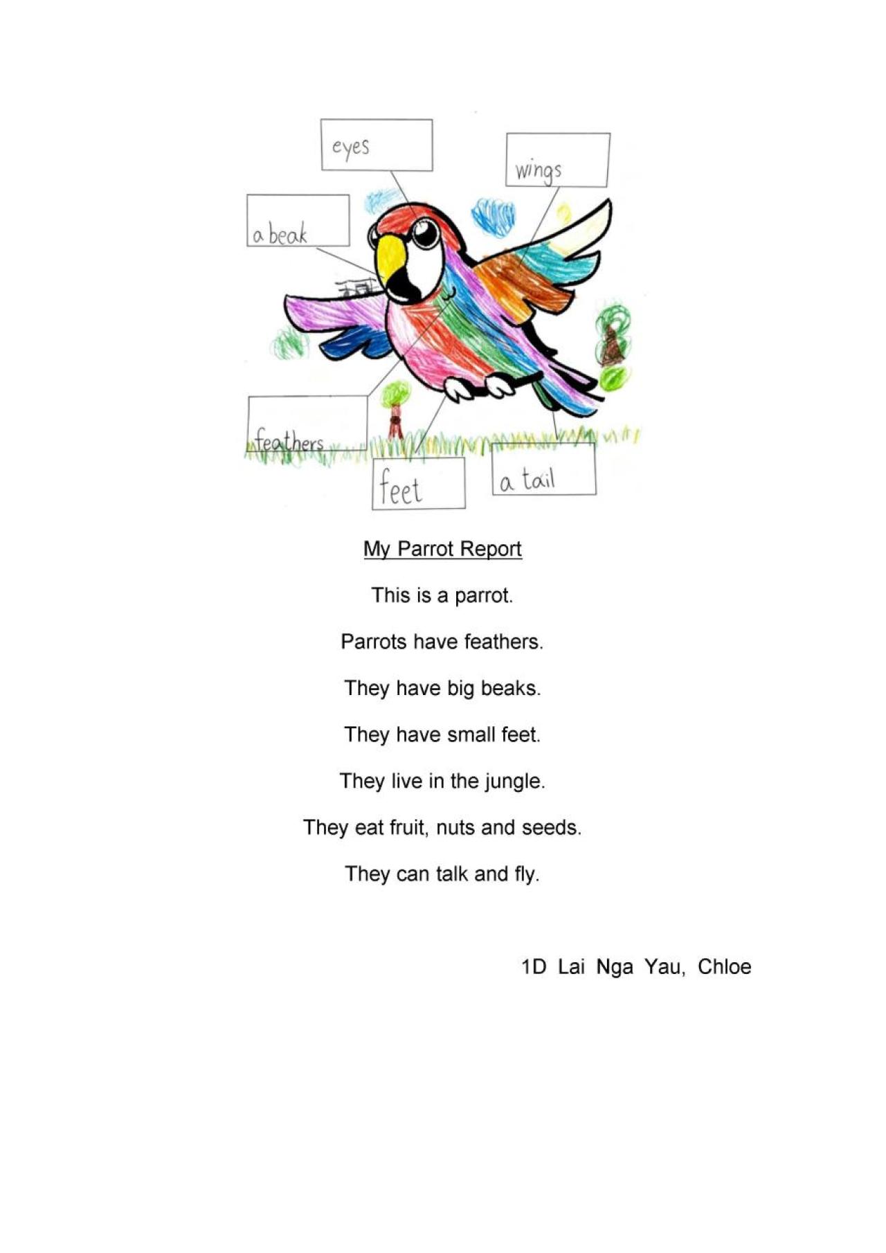 1D_Lai Nga Yau Chloe_My Parrot Report