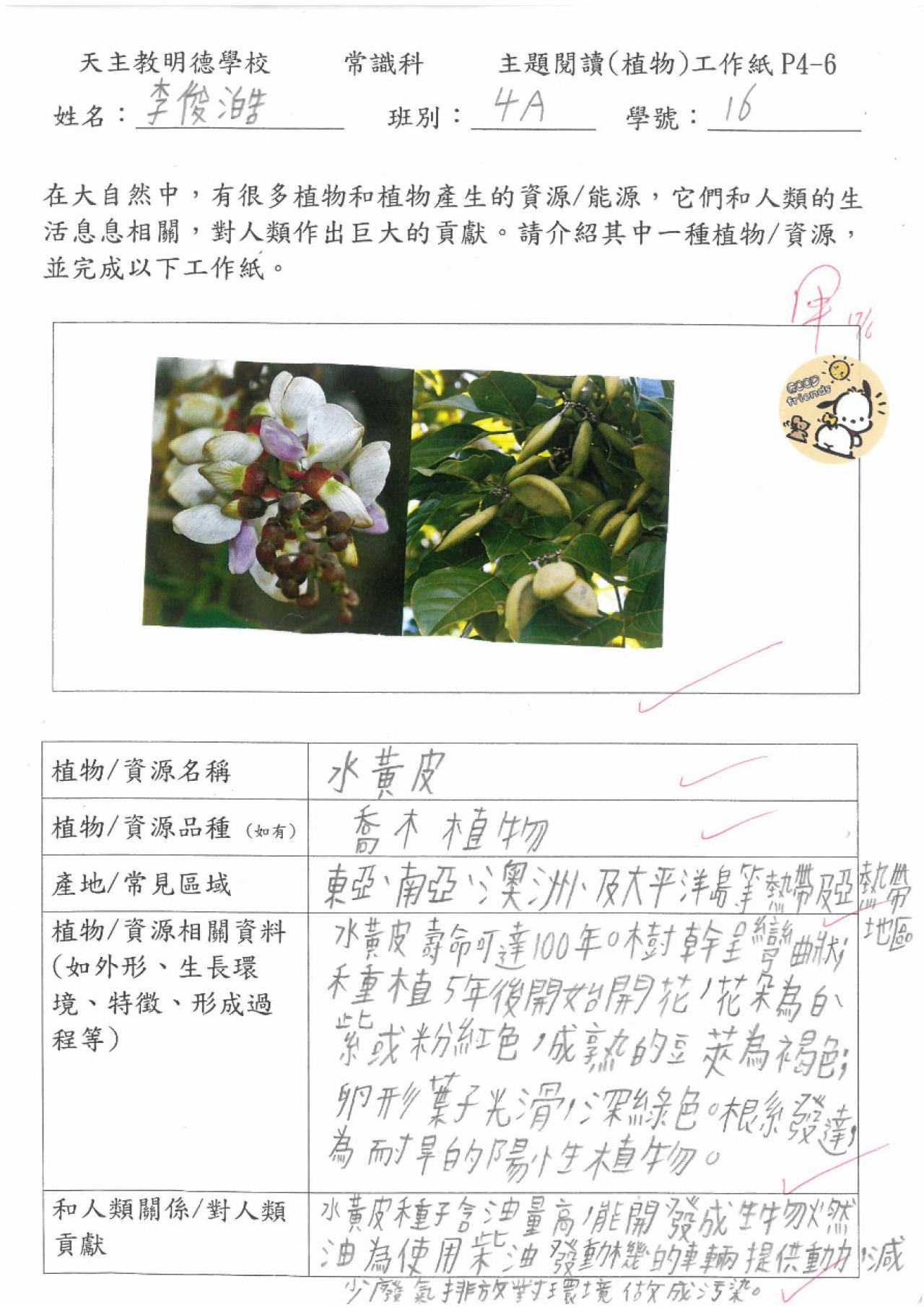 2023_常_4A_李俊澔_植物主題閱讀工作紙_水黃皮 