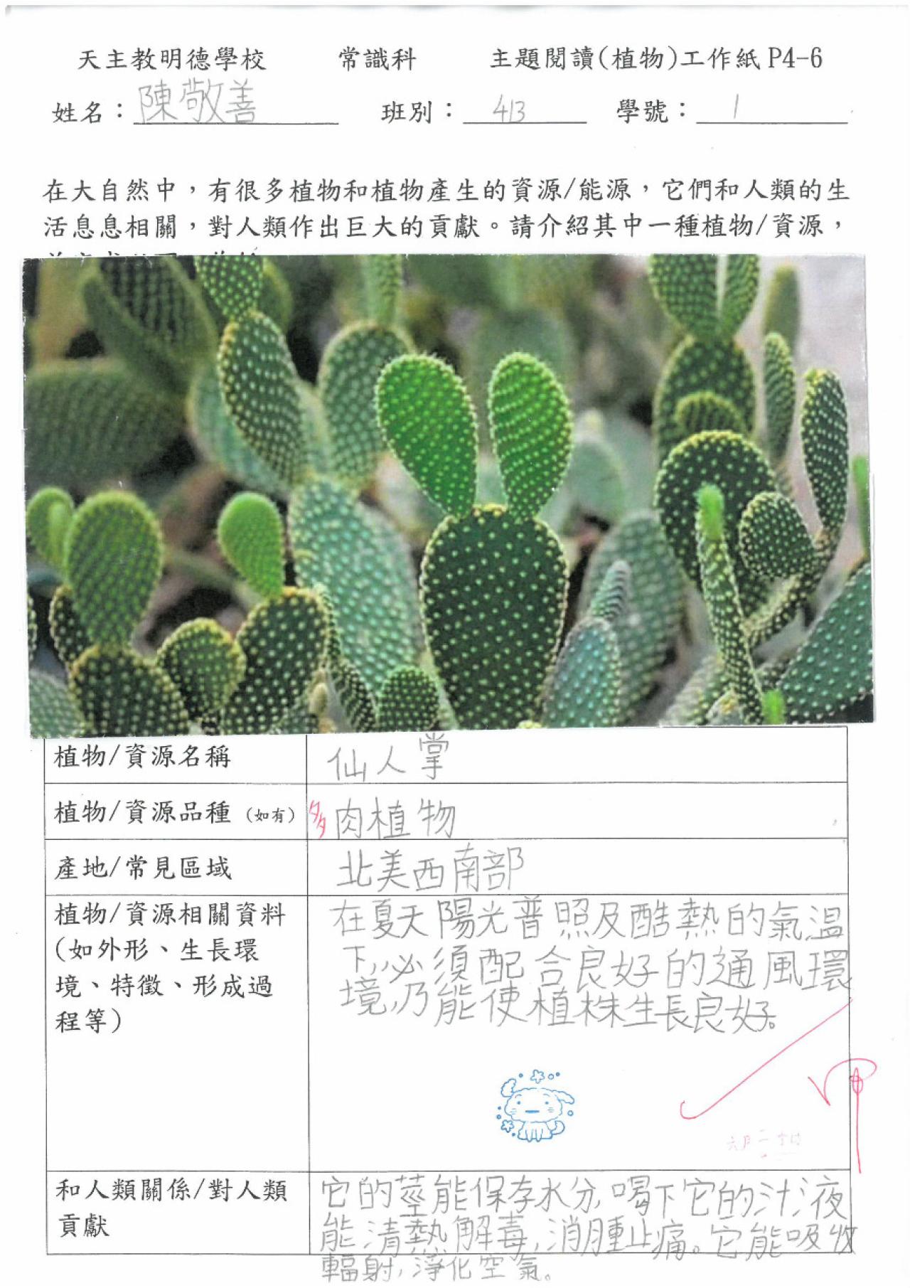 2023_常_4B_陳敬善_植物主題閱讀工作紙_蘆薈 