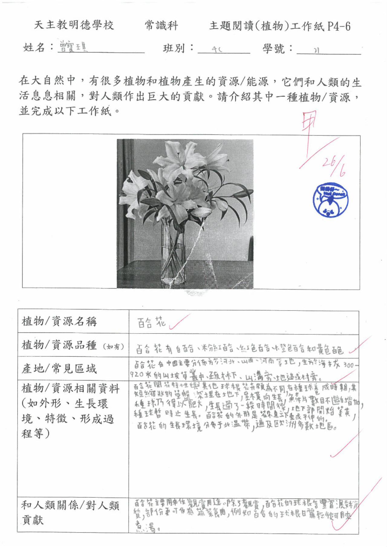 2023_常_4C_曾寶琪_植物主題閱讀工作紙_百合花 