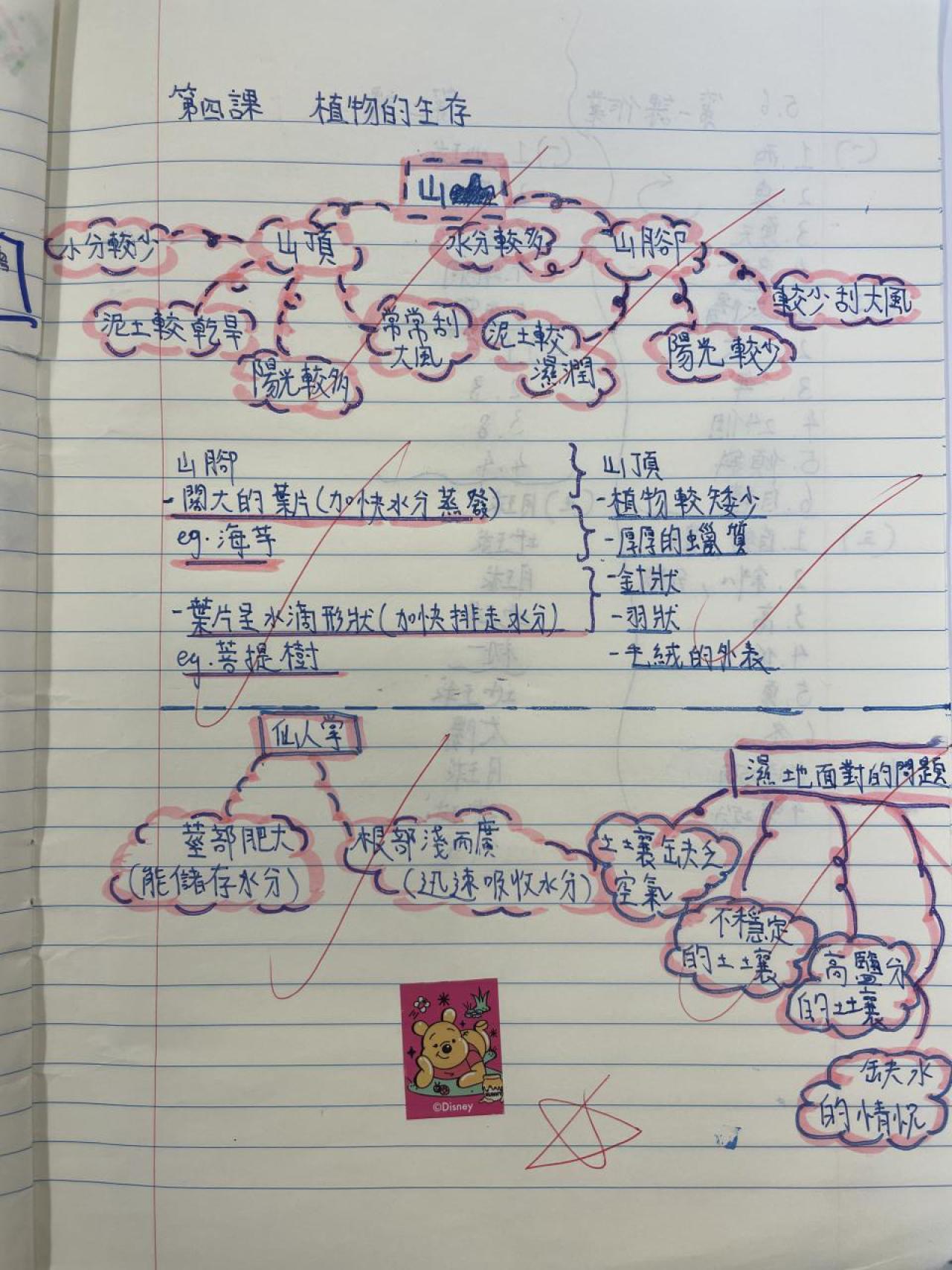  2023_5B_陳令慈_常識筆記