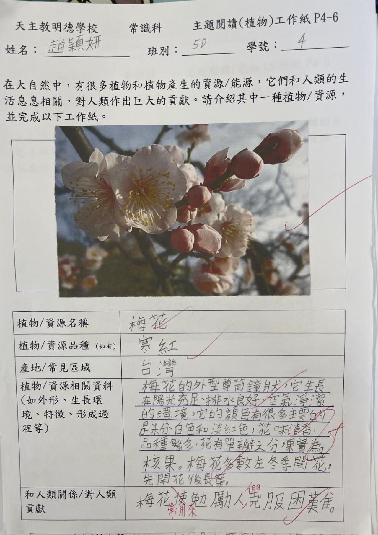  2023_5D_趙穎研_主題閱讀工作紙_梅花