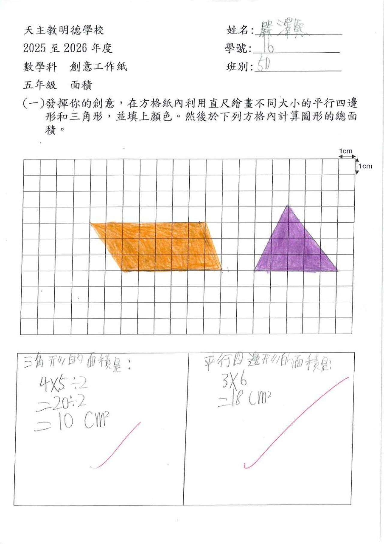 5D 嚴澤熙 面積作品