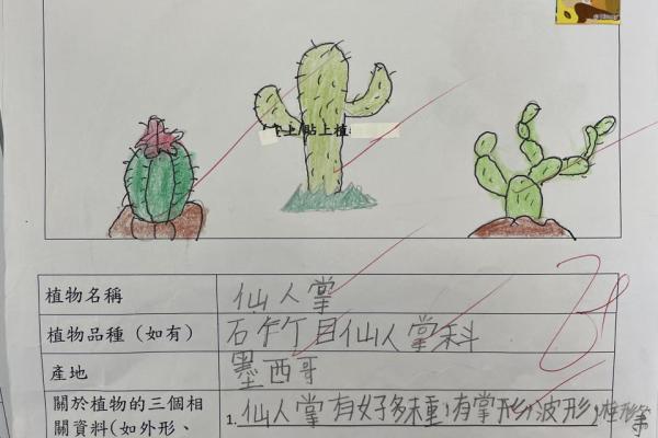  2023_常_2C_佘梓僖_植物主題閱讀工作紙_仙人掌